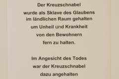 002-Wer-glaubt-zu-wissen-Part-II-2020