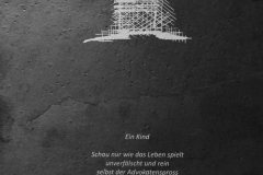 005-Tagesverfassung