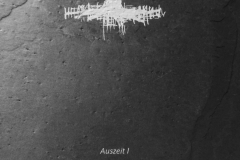 011-Tagesverfassung